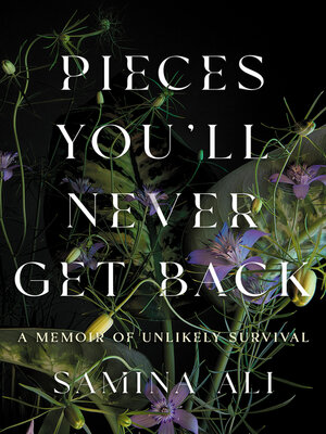 cover image of Pieces You'll Never Get Back